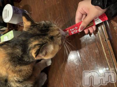 ʥå륺С饪ϥܡbarͻ(饪ϥܡСӥ󥷥ޥ) ʤ1129̥֥֤ˤ󤳡😼