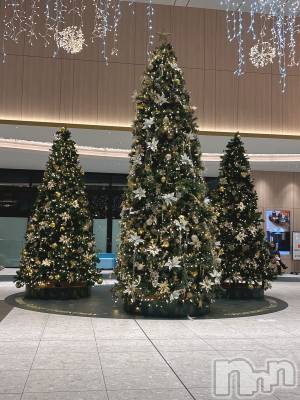 ʥå륺С饪ϥܡbarͻ(饪ϥܡСӥ󥷥ޥ) ʤ121̥֥֥ꥹޥĥ꡼🎄