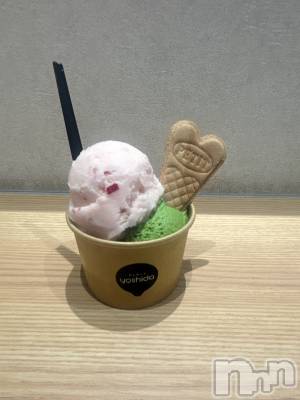 ����������ʥå��������륺�С����饪���ϥ��ܡ���bar���ͻ���(���饪���ϥ��ܡ���С��ӥ��󥷥ޥ�) ����ʤ�6��16���̥�֥����֥����顼�ȡ���🍨��