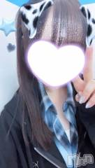 新潟デリヘル新潟デリヘル倶楽部(ニイガタデリヘルクラブ) うさ(19)の11月15日写メブログ「本日出勤します🩷」