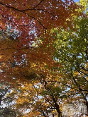 Ĺʥå륺Сѥ ¤þе-ä礤-(եѥ å祤) 1115̥֥1115 1637ʬΥ֥