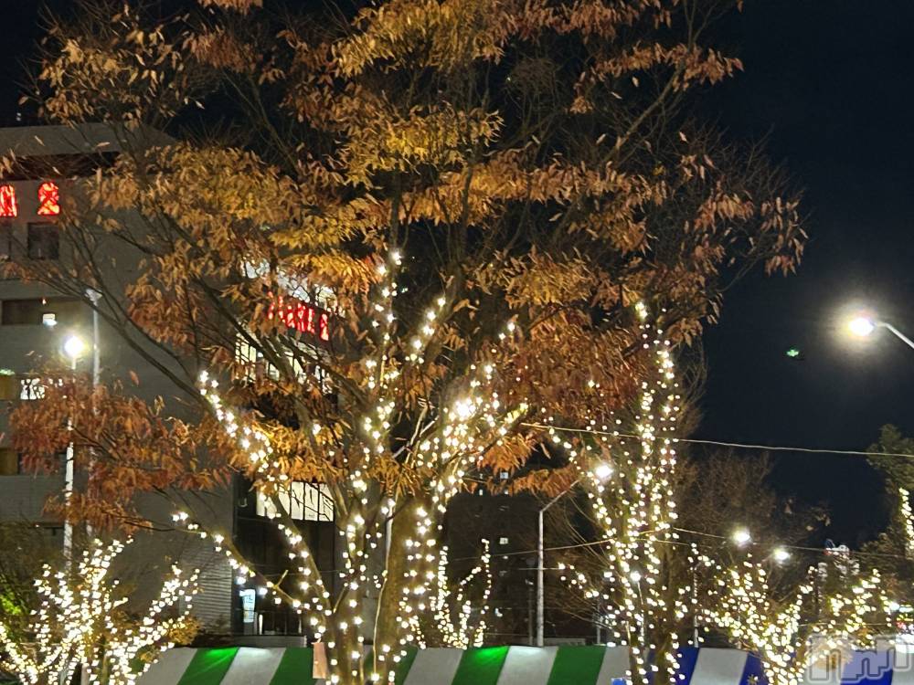 Х顦ֽϽХ Lips(奯祭Хåץ) ʤ1114ֽ̥֥ж💕