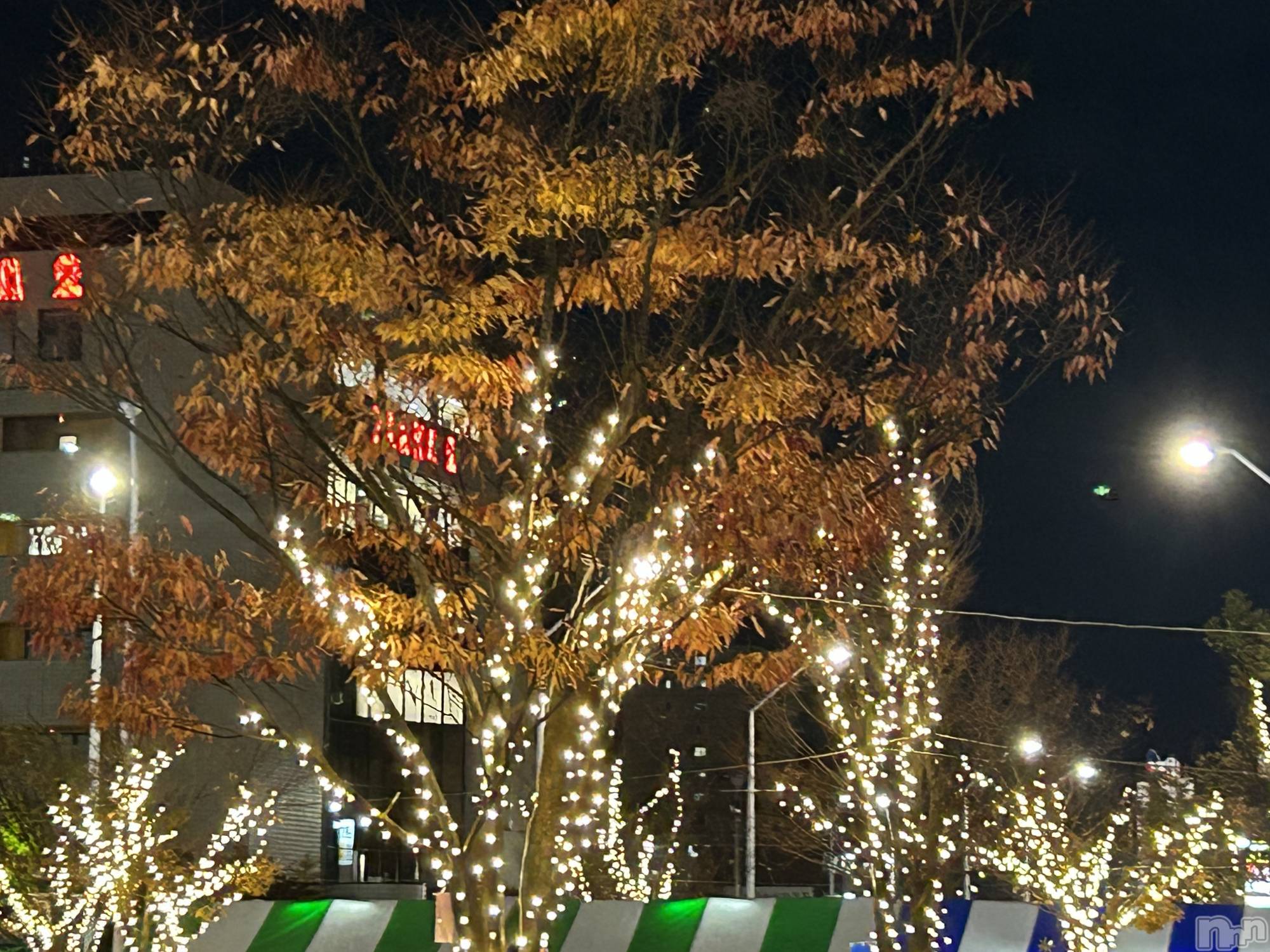 Х顦ֽϽХ Lips(奯祭Хåץ) 2025ǯ1114ֽ̥֥ж💕