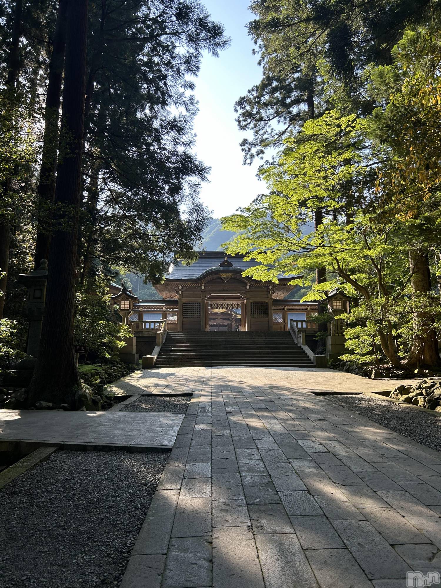 Х顦ֽϽХ Lips(奯祭Хåץ) 2025ǯ1120ֽ̥֥ж︎💕︎︎