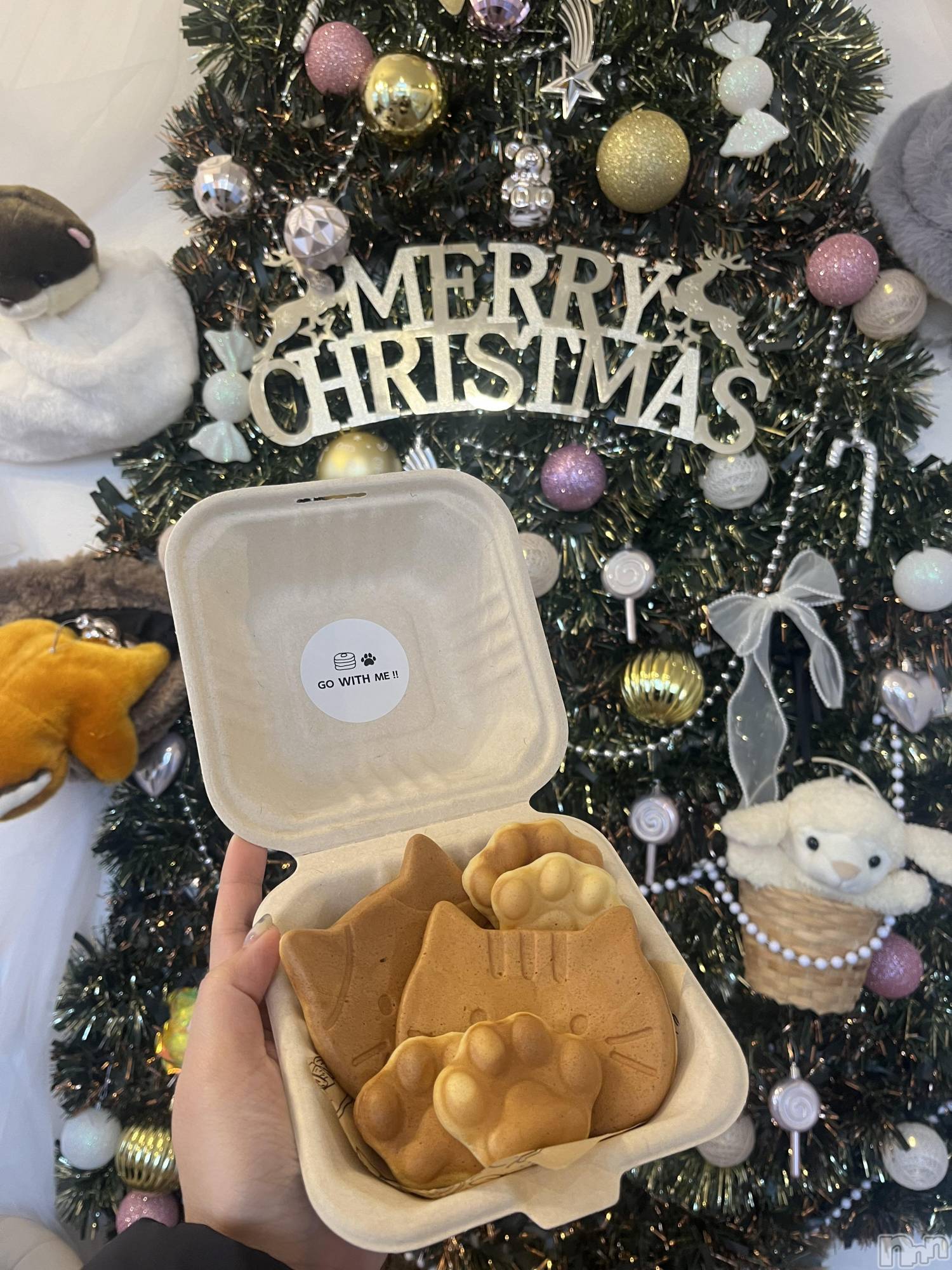 Х顦ֽϽХ Lips(奯祭Хåץ) 2025ǯ121ֽ̥֥ж💕