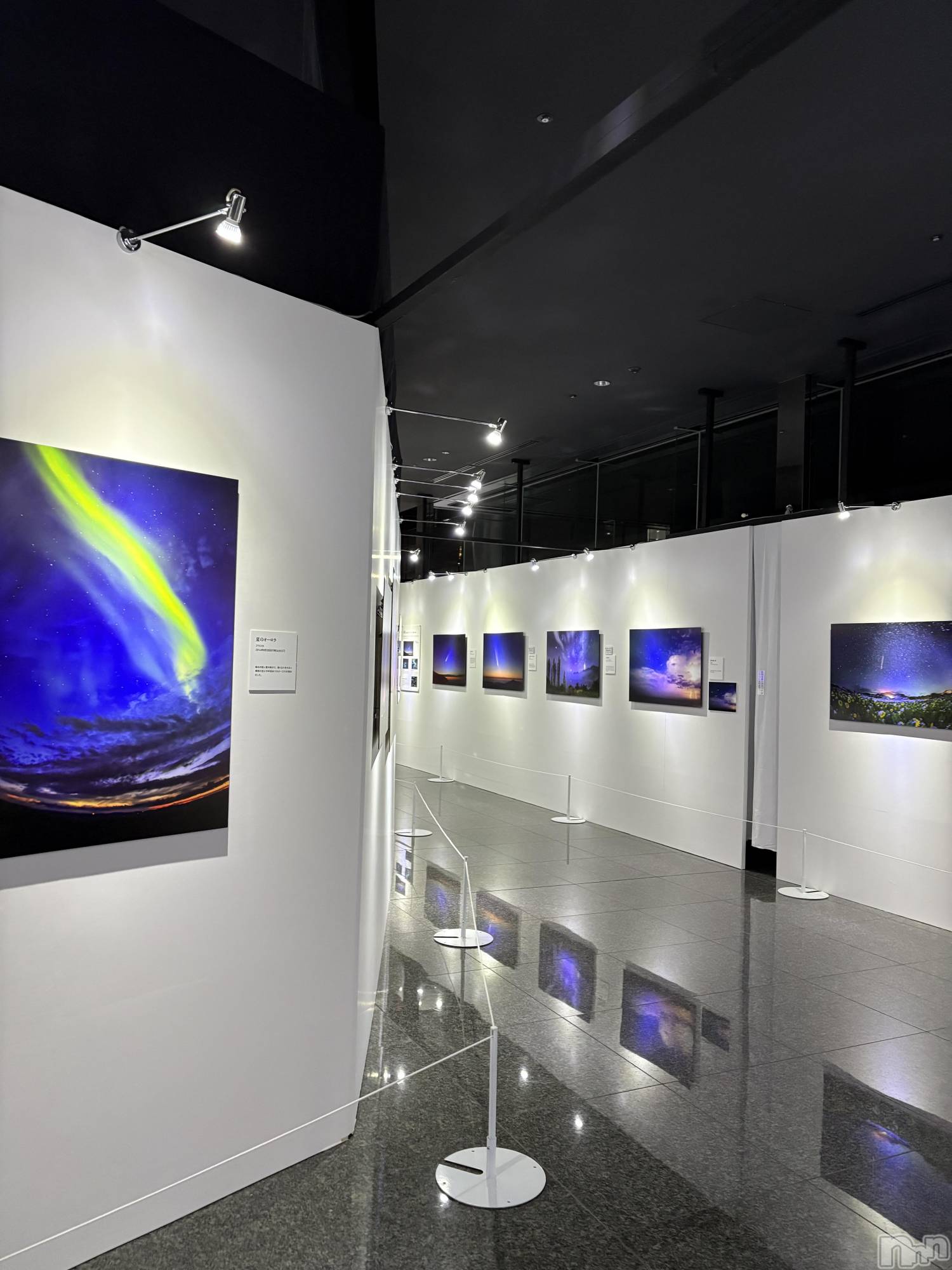 �����������Х��顦����ֽϽ�����Х��� Lips(���奯���祭��Х����åץ�) ��2026ǯ3��10���̥�֥����ֽж���💕��