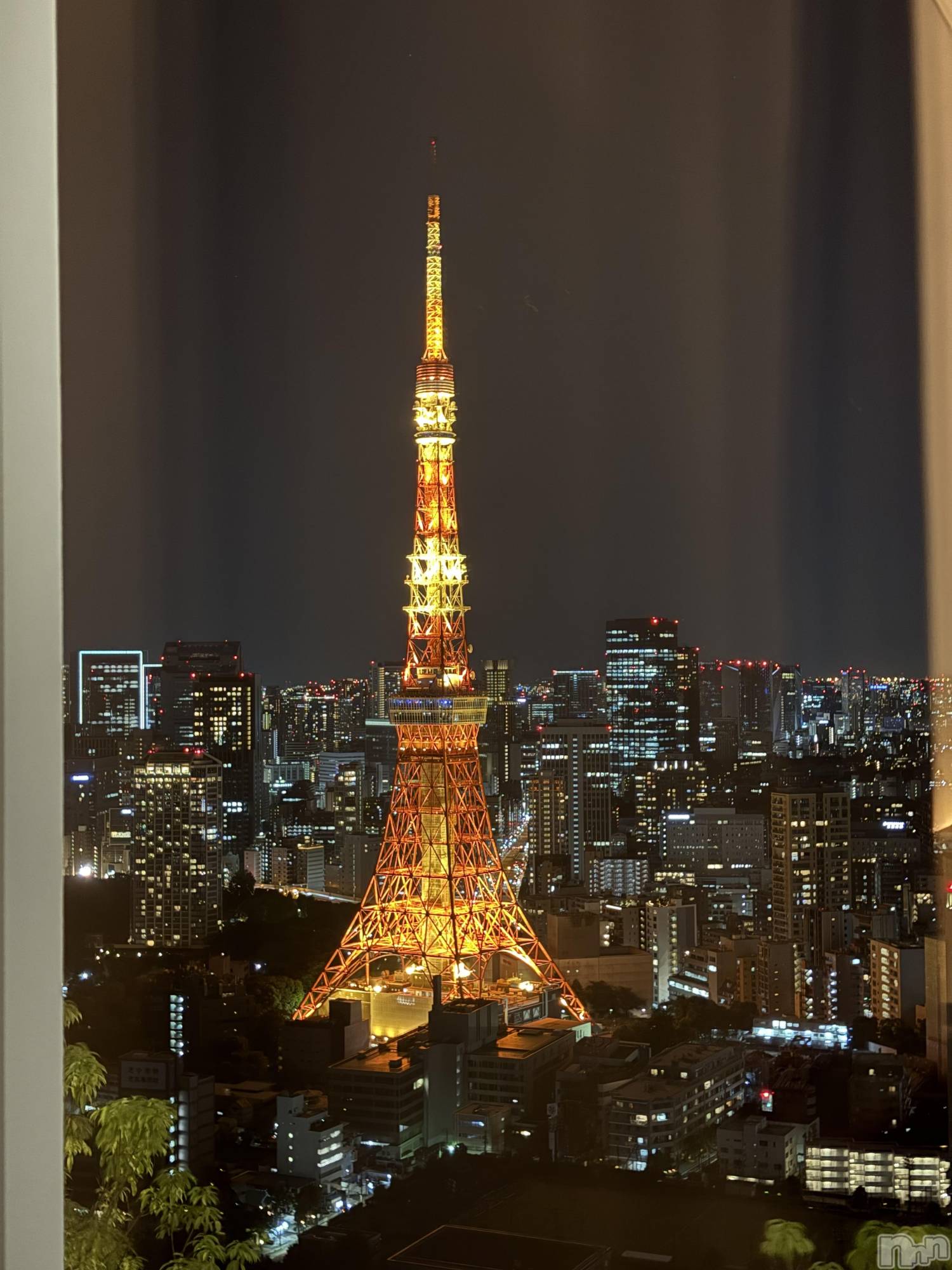�����������Х��顦����ֽϽ�����Х��� Lips(���奯���祭��Х����åץ�) ��2026ǯ5��12���̥�֥�����🗼��