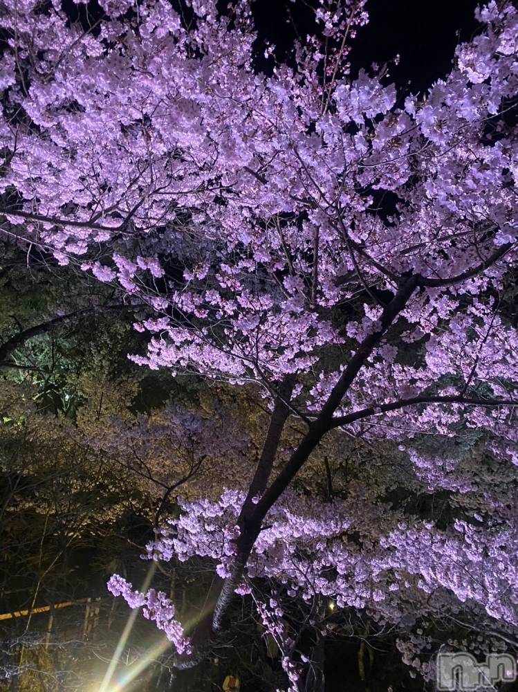 ��ˬ����Х��顦����֥���� �ץ���� ��ˬ(����� �ץ���� ����) ���� �줤����4��18���̥�֥�����🌸🍒��