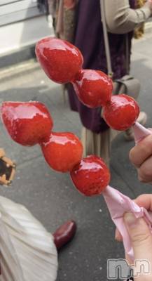 ��ˬ����Х��顦����֥���� �ץ���� ��ˬ(����� �ץ���� ����) ���� �줤����1��4���̥�֥�����🍓✨��