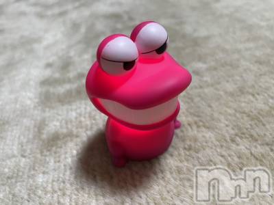 ��ˬ����Х��顦����֥���� �ץ���� ��ˬ(����� �ץ���� ����) ���� �줤����1��10���̥�֥�����💗✨��