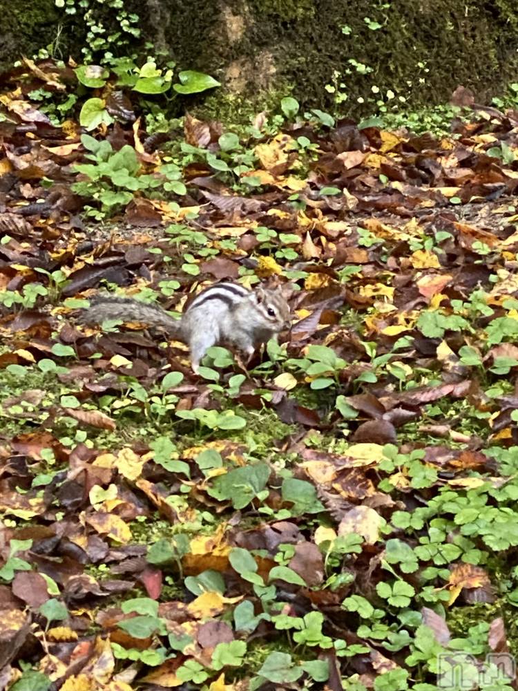 新潟デリヘルCherish Amulet(チェリッシュ アミュレット) もな★★ ≪Fcup美少女≫(22)の12月4日写メブログ「ごめんなさい😭」