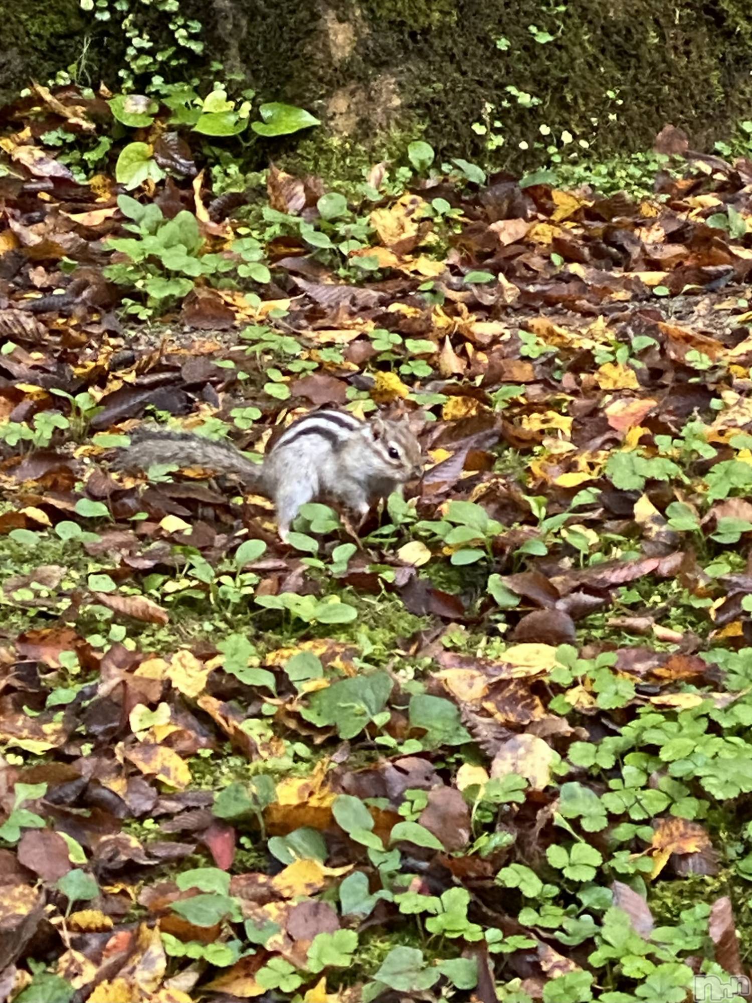 新潟デリヘルCherish Amulet(チェリッシュ アミュレット)もな★★ ≪Fcup美少女≫(22)の2025年12月4日写メブログ「ごめんなさい😭」