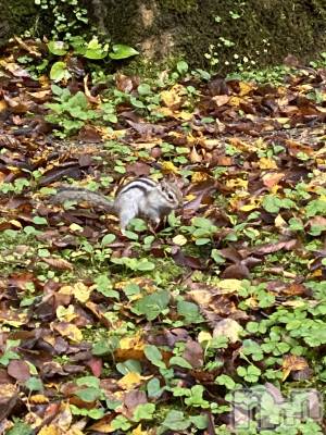 新潟デリヘル Cherish Amulet(チェリッシュ アミュレット) もな★★ ≪Fcup美少女≫(22)の12月4日写メブログ「ごめんなさい😭」