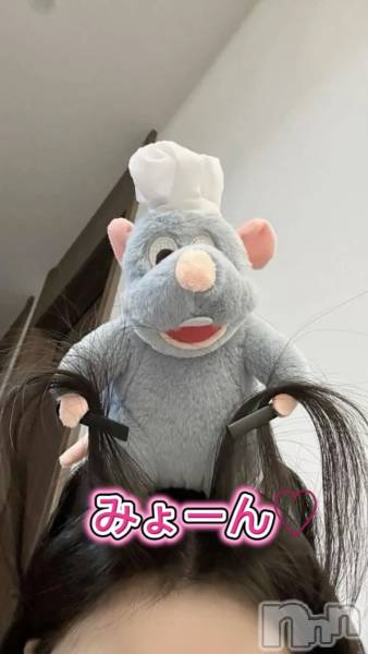 Ĺ襳ѥ˥󥯥ֻ Ĺѥ˥¡cocona()  2025ǯ1128̥֥ӹߤǽ🤩✨🎶