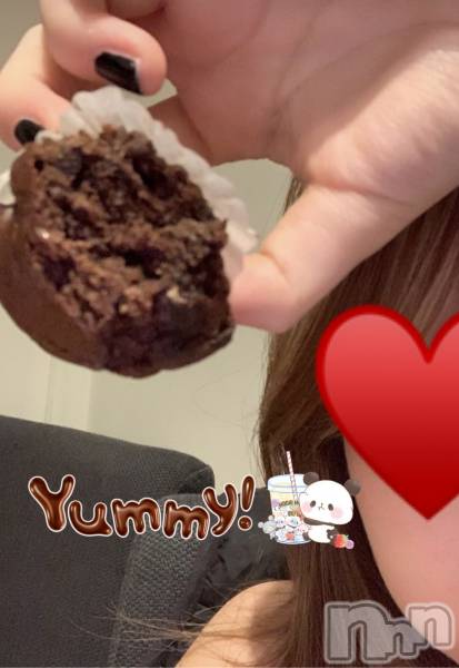 Ĺ�����������襳��ѥ˥��󥯥�ֻ��� Ĺ������ѥ˥����¡�cocona��(������) �� 2025ǯ12��18���̥�֥����ֺ��ͽ���ǽ������