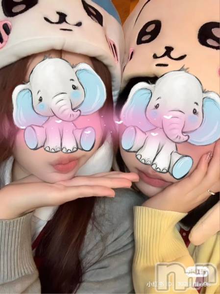 Ĺ�����������襳��ѥ˥��󥯥�ֻ��� Ĺ������ѥ˥����¡�cocona��(������) �� 2026ǯ1��31���̥�֥����ֿ��ͤ�����Ź���ޤ���������