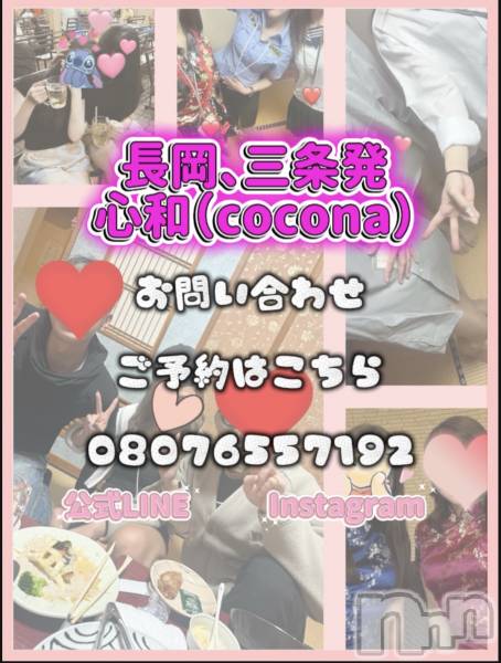 Ĺ�����������襳��ѥ˥��󥯥�ֻ��� Ĺ������ѥ˥����¡�cocona��(������) �� 2026ǯ3��8���̥�֥����ְ��ֿ͵��ϡ���