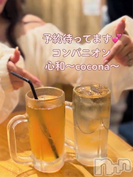 Ĺ�����������襳��ѥ˥��󥯥�ֻ��� Ĺ������ѥ˥����¡�cocona��(������) �� 2026ǯ8��17���̥�֥����֥���ѥ˥����갷���������