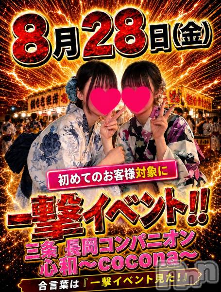 Ĺ�����������襳��ѥ˥��󥯥�ֻ��� Ĺ������ѥ˥����¡�cocona��(������) �� 2026ǯ8��19���̥�֥����ְ�⥤�٥�ȡ�������