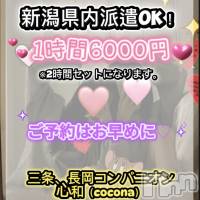  Ĺѥ˥¡cocona ֤Ѥǣߥա(*''*)