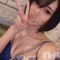 ��(�ҥߥ�) ��Ĺ�ҥߥġ���Į����Х��顦����� salon do����(������ɥ����)���ҡ�