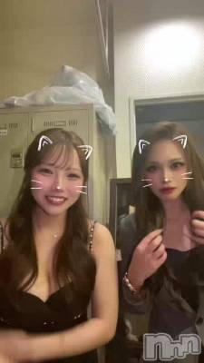 �Ƕ��Salon do ����.