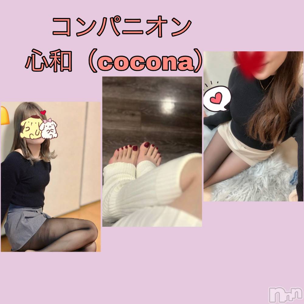 Ĺ襳ѥ˥󥯥ֻ Ĺѥ˥¡cocona() ޤ1122ֿ̥֥פ♡