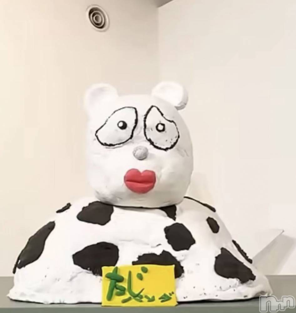 Ĺ�����������襳��ѥ˥��󥯥�ֻ��� Ĺ������ѥ˥����¡�cocona��(������) �ޤ桡��Ź����οͤ�12��29���̥�֥����ּ¤ϡġ�