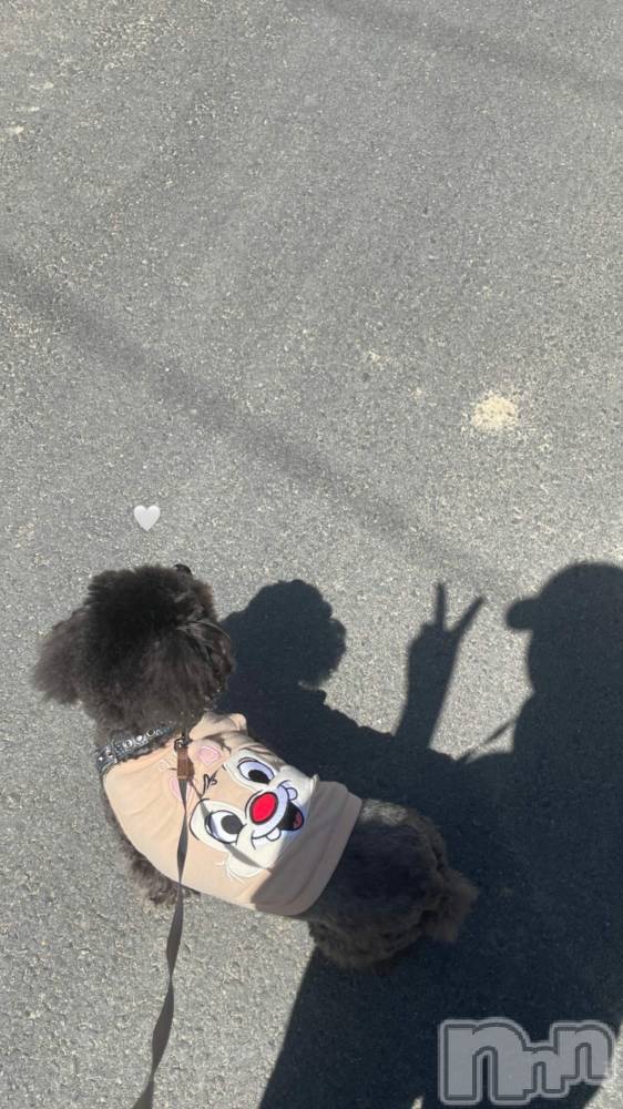 Ĺ�����������襳��ѥ˥��󥯥�ֻ��� Ĺ������ѥ˥����¡�cocona��(������) �ޤ桡��Ź����οͤ�1��1���̥�֥����֤�����♡��