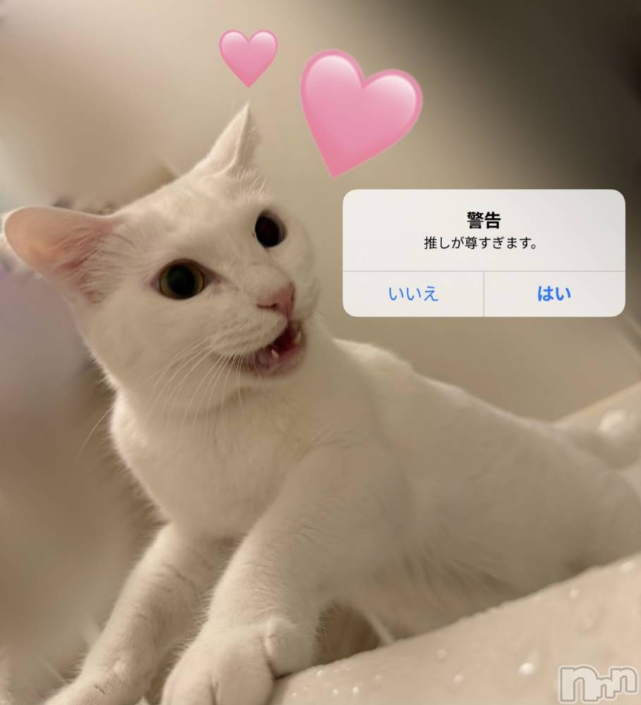 Ĺ�����������襳��ѥ˥��󥯥�ֻ��� Ĺ������ѥ˥����¡�cocona��(������) �ޤ桡��Ź����οͤ�12��31���̥�֥����֤���椹♡��