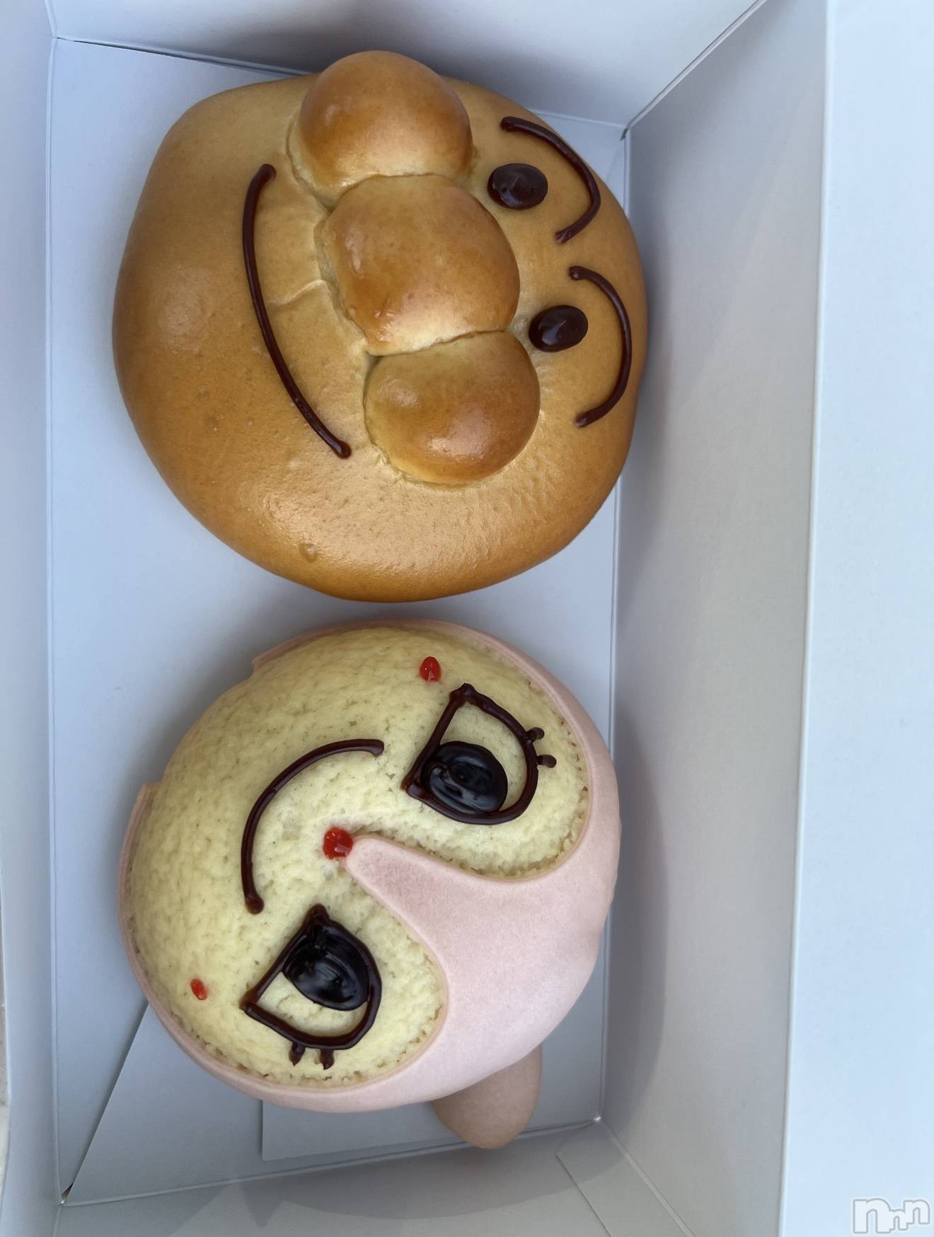 Ĺ襳ѥ˥󥯥ֻ Ĺѥ˥¡cocona() 2025ǯ1115̥֥֥ѥޥ󡼡