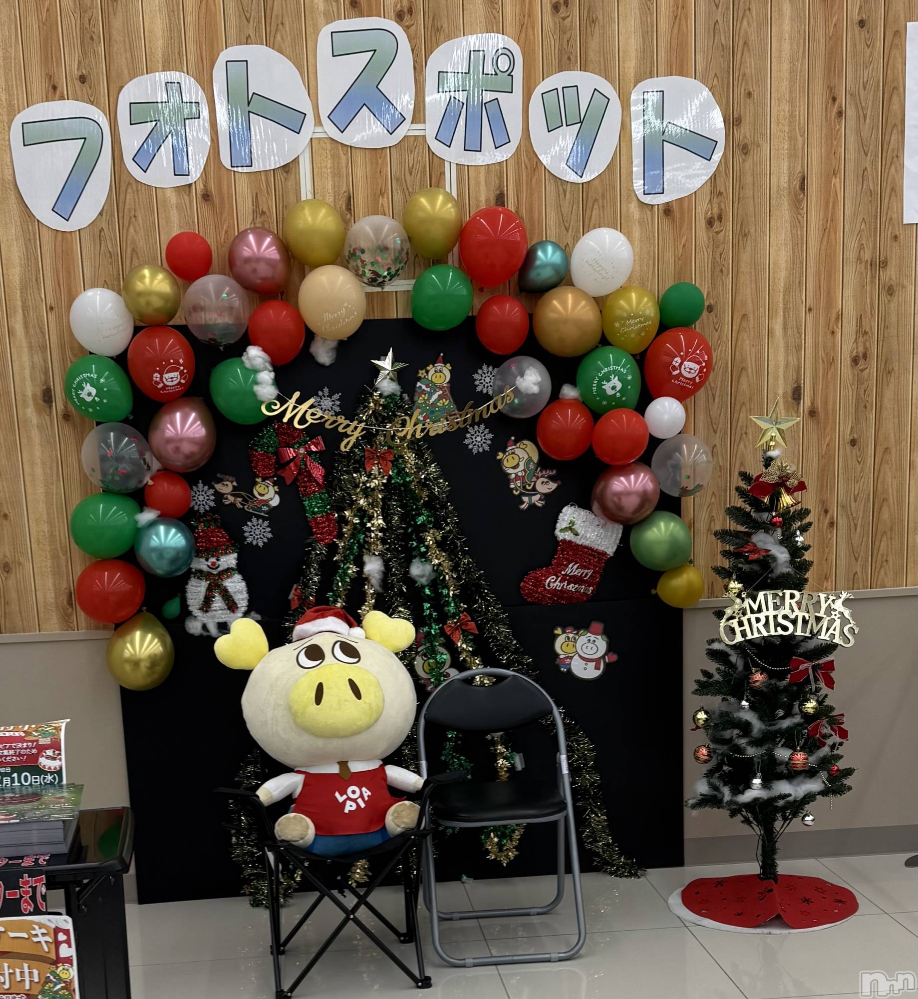 Ĺ襳ѥ˥󥯥ֻ Ĺѥ˥¡cocona() 2025ǯ1127̥֥֤ͦϤʤ😇