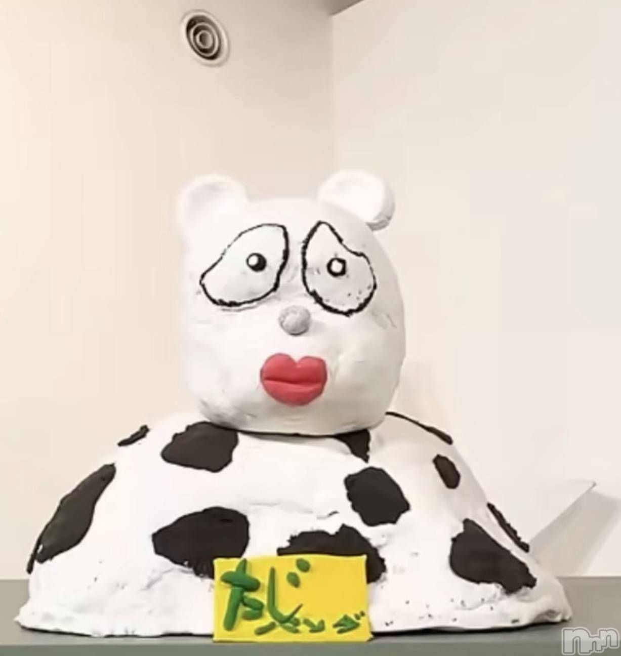 Ĺ�����������襳��ѥ˥��󥯥�ֻ��� Ĺ������ѥ˥����¡�cocona��(������) ��2025ǯ12��29���̥�֥����ּ¤ϡġ�