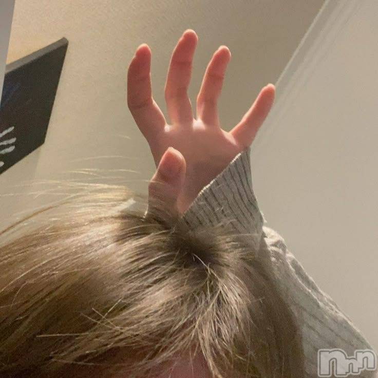 Ĺ�����������襳��ѥ˥��󥯥�ֻ��� Ĺ������ѥ˥����¡�cocona��(������) ��2026ǯ1��18���̥�֥����֤�������