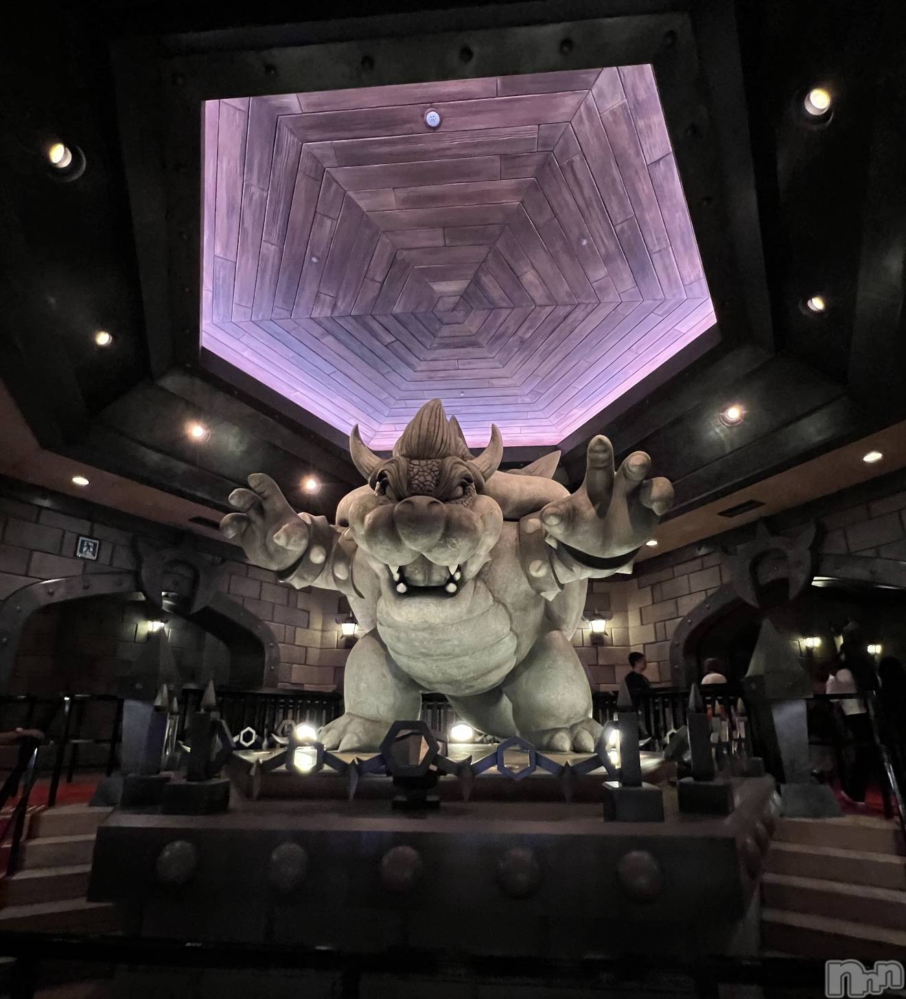 Ĺ�����������襳��ѥ˥��󥯥�ֻ��� Ĺ������ѥ˥����¡�cocona��(������) ��2026ǯ1��23���̥�֥����֥�˥йԤ������¡�