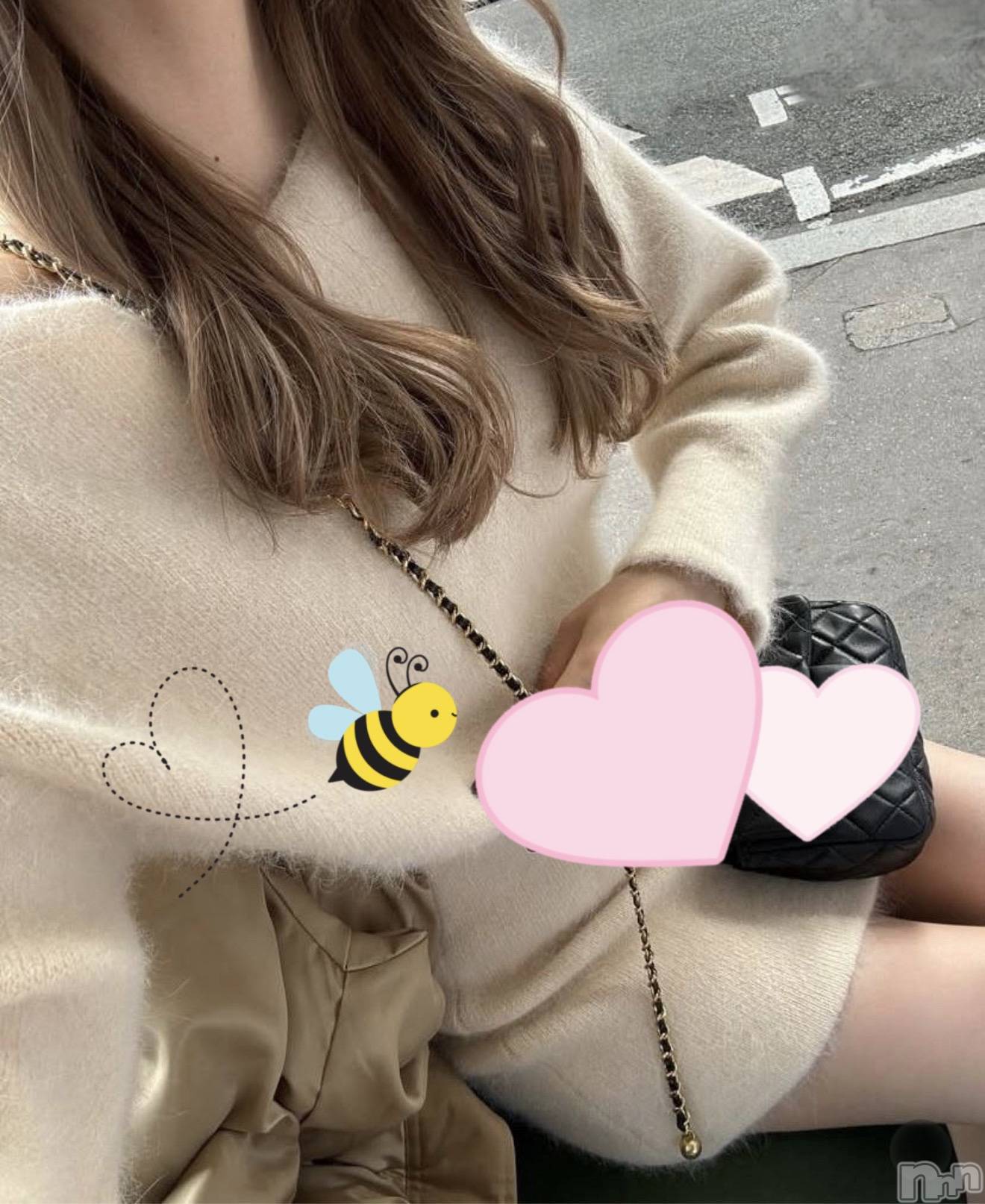 Ĺ�����������襳��ѥ˥��󥯥�ֻ��� Ĺ������ѥ˥����¡�cocona��(������) ��2026ǯ2��19���̥�֥�����NG�Ǥ��