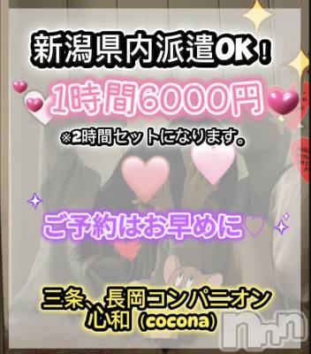 Ĺ�����������襳��ѥ˥��󥯥�ֻ��� Ĺ������ѥ˥����¡�cocona��(������) �ޤ桡��Ź����ο�(99)��11��24���̥�֥����������ͽ���å���💨��