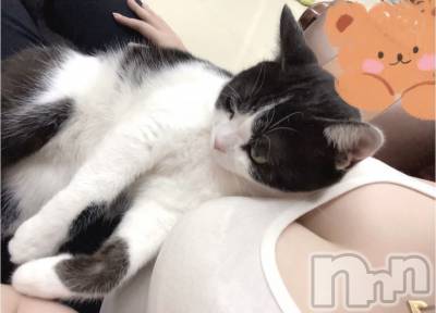 Ĺ�����������襳��ѥ˥��󥯥�ֻ��� Ĺ������ѥ˥����¡�cocona��(������) �ޤ桡��Ź����ο�(99)��11��28���̥�֥�����ͽ�����❣️��