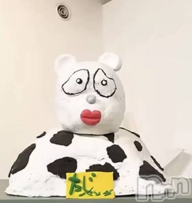 Ĺ�����������襳��ѥ˥��󥯥�ֻ��� Ĺ������ѥ˥����¡�cocona��(������) �ޤ桡��Ź����ο�(99)��12��29���̥�֥����ּ¤ϡġ�