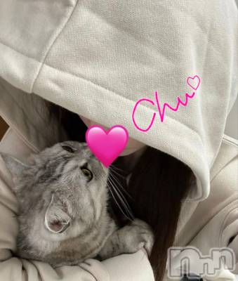 Ĺ�����������襳��ѥ˥��󥯥�ֻ��� Ĺ������ѥ˥����¡�cocona��(������) �ޤ桡��Ź����ο�(99)��12��29���̥�֥����֤錄���Τդ����������