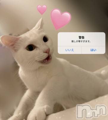 Ĺ�����������襳��ѥ˥��󥯥�ֻ��� Ĺ������ѥ˥����¡�cocona��(������) �ޤ桡��Ź����ο�(99)��12��31���̥�֥����֤���椹♡��