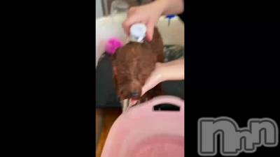 �С������졢��♡