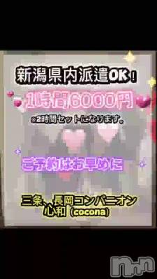 ����������♡