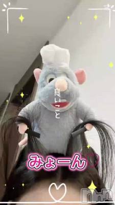 ���¡�cocona��