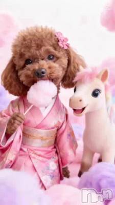 ��Ź�����ץ󤫤�