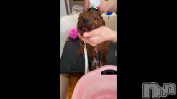 �֤С������졢��♡��