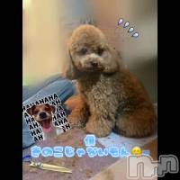���Τ���🐶