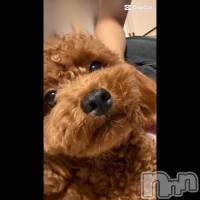 ���襤��♡