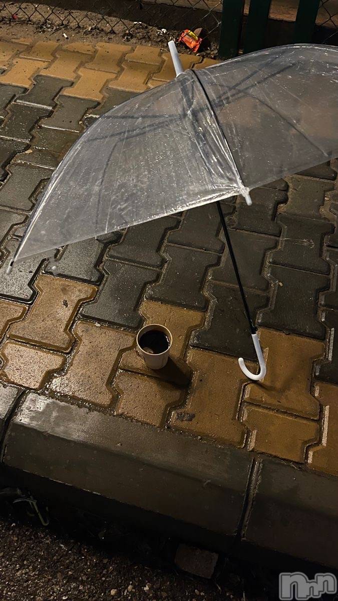 Ĺ襳ѥ˥󥯥ֻ Ĺѥ˥¡cocona() 2025ǯ1118̥֥֥ҡҡ