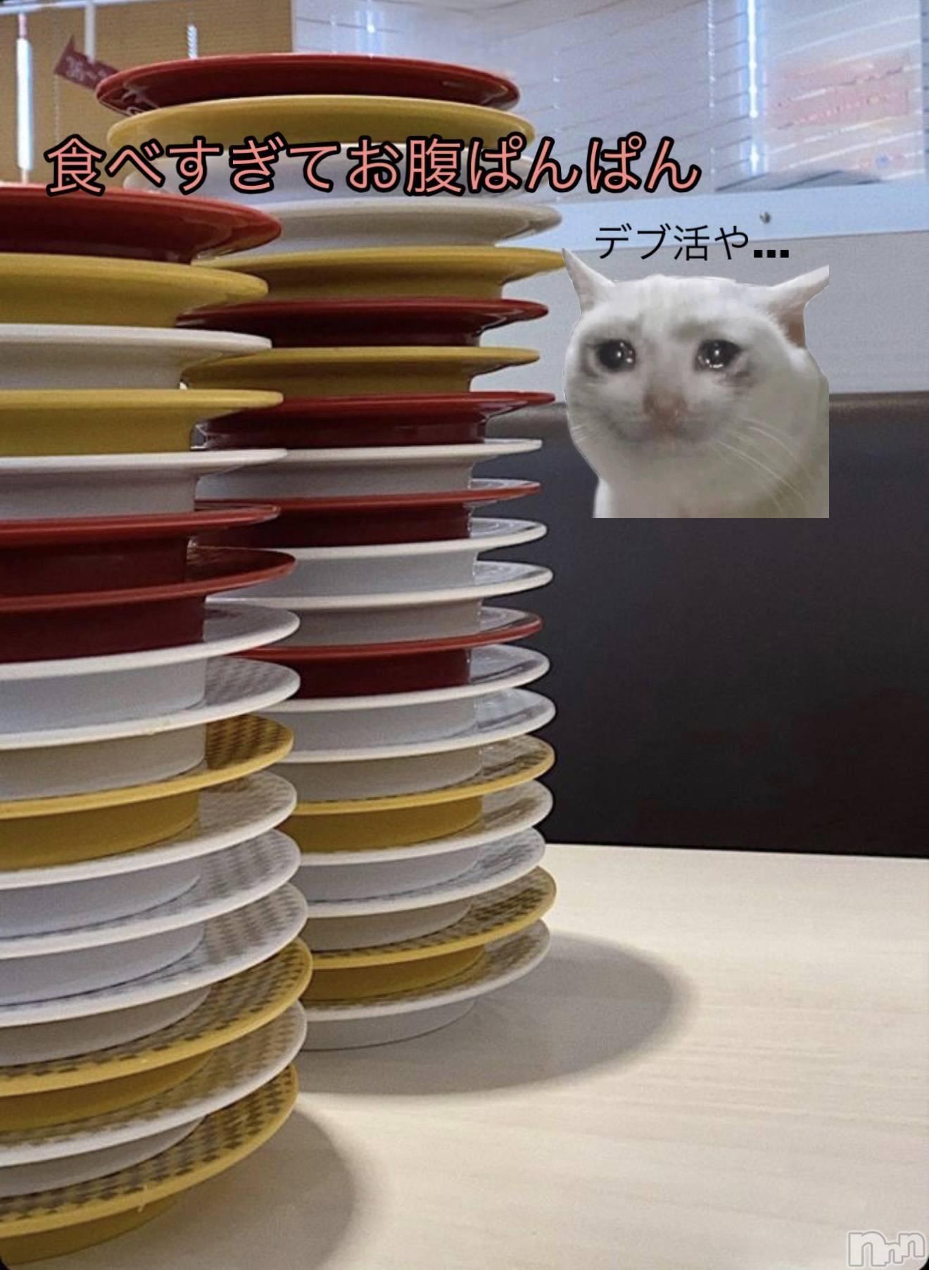 Ĺ襳ѥ˥󥯥ֻ Ĺѥ˥¡cocona() 2025ǯ1124̥֥֥ǥֳǤɤʤˤ